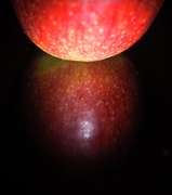 12th Apr 2018 - 12-04 apple