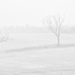 April Fog by rjb71