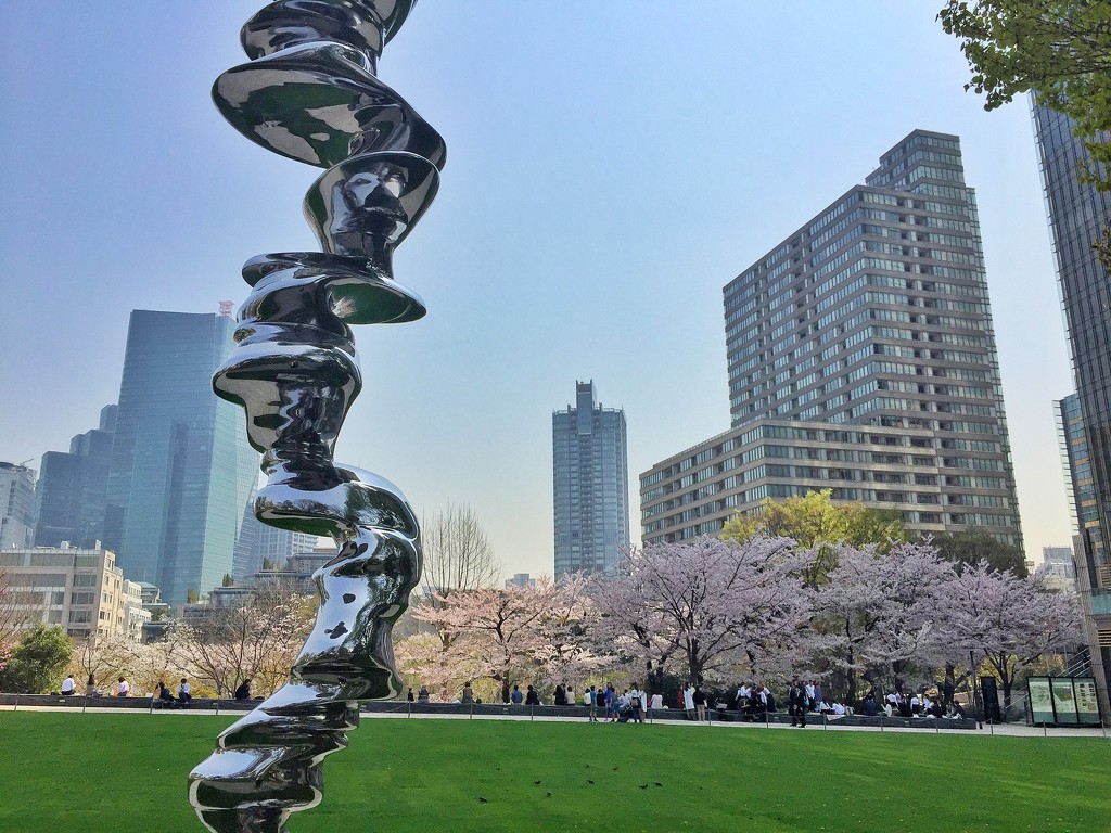Art and sakura by cocobella