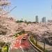 The prettiest road in Tokyo. by cocobella