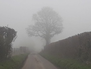12th Apr 2018 - Yet another foggy day