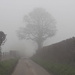 Yet another foggy day by fbailey
