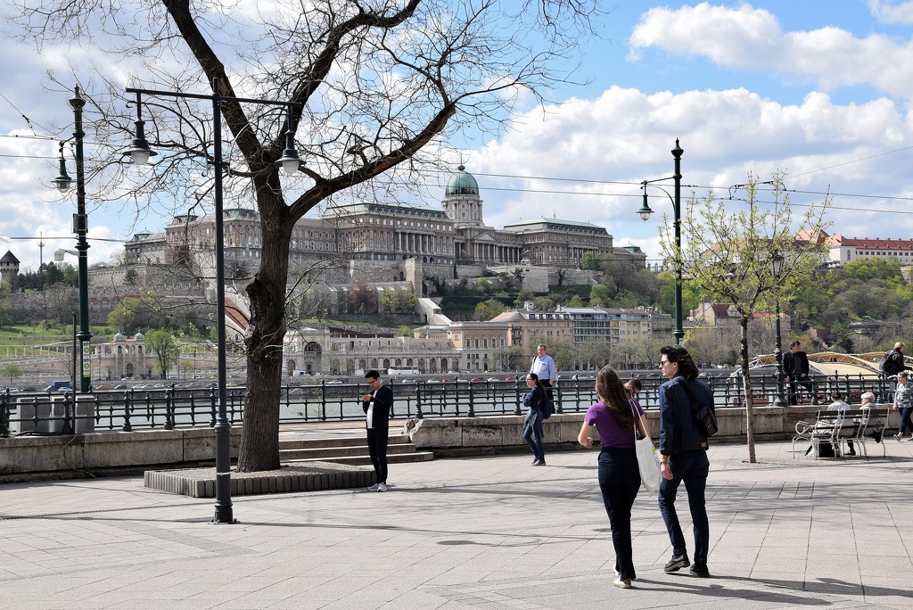 Danube promenade by kork