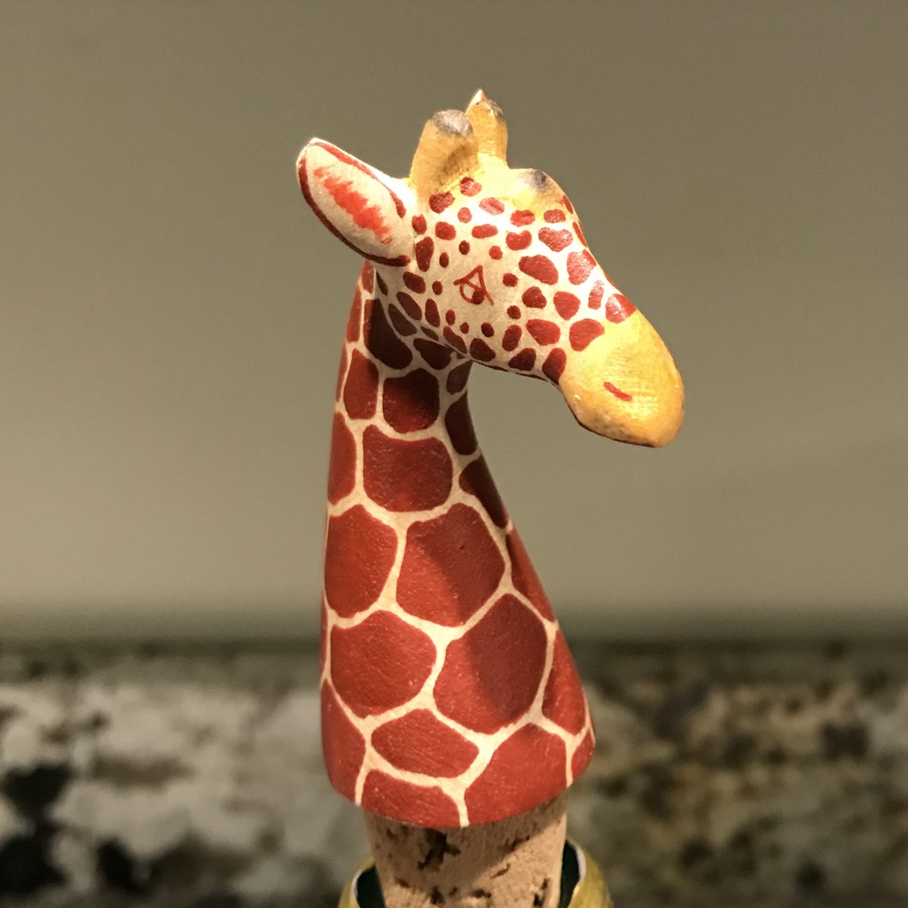 Giraffe  by beckyk365