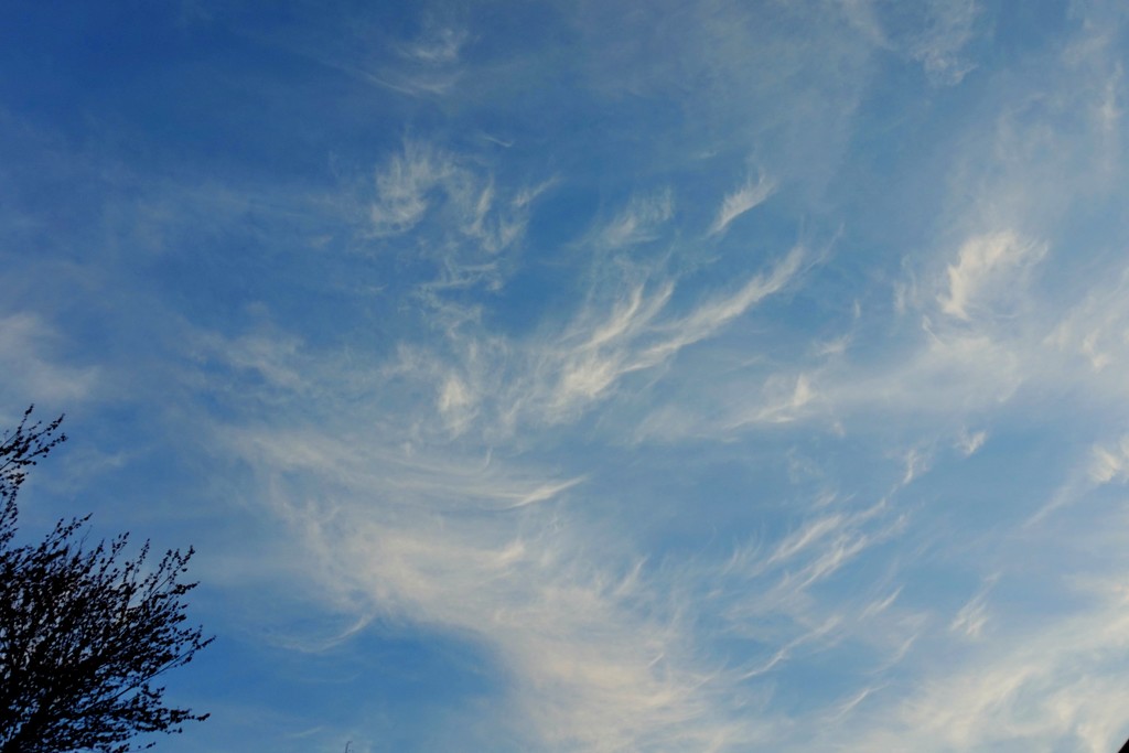 Wispy morning clouds by tunia