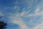 13th Apr 2018 - Wispy morning clouds