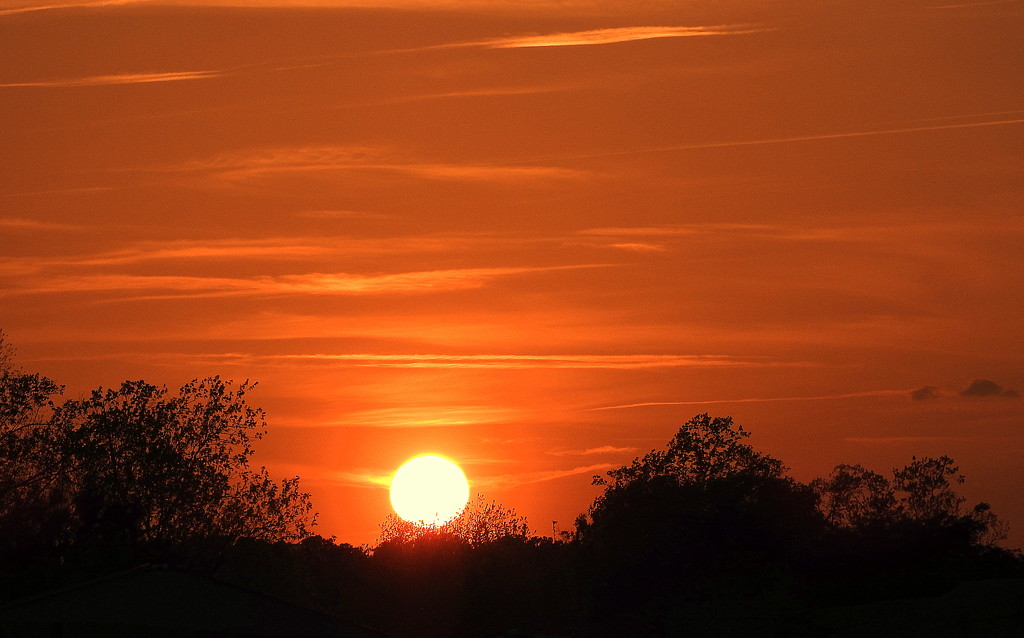 Golden Sunset by homeschoolmom