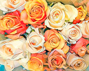 14th Apr 2018 - Roses to brighten your weekend.