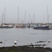 Lerwick Marina by lifeat60degrees