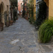 081 - A lane at Collioure by bob65