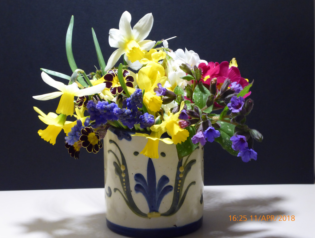 Spring flowers from the garden.... by snowy