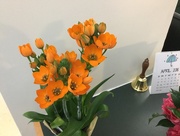 15th Apr 2018 - Birthday Flowers