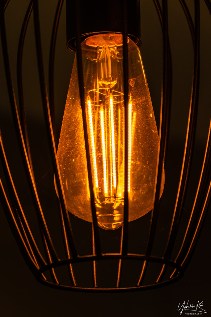 Electric Light Bulb by yorkshirekiwi