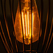 Electric Light Bulb by yorkshirekiwi