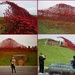 a few shots from Poppies Wave at Fort Nelson by quietpurplehaze