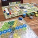 Castles of Burgundy Game by cataylor41
