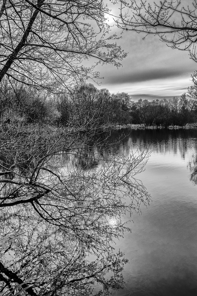 Lake Reflections by megpicatilly