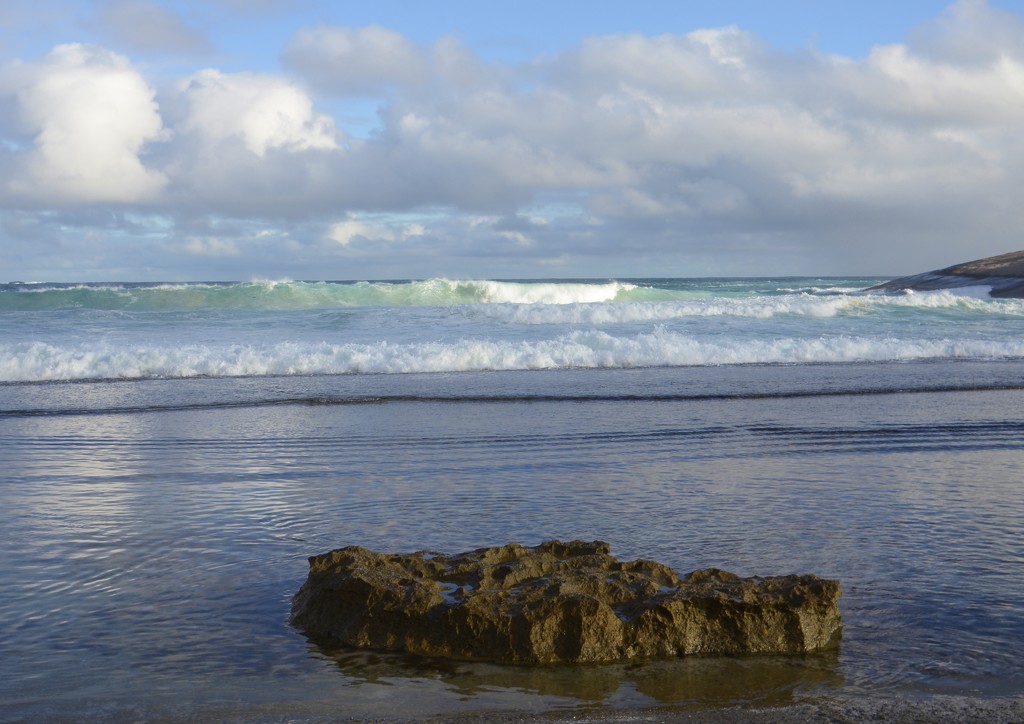 Shades Of Blue_DSC9348 by merrelyn