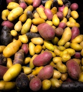 15th Apr 2018 - Colorful Potatoes 