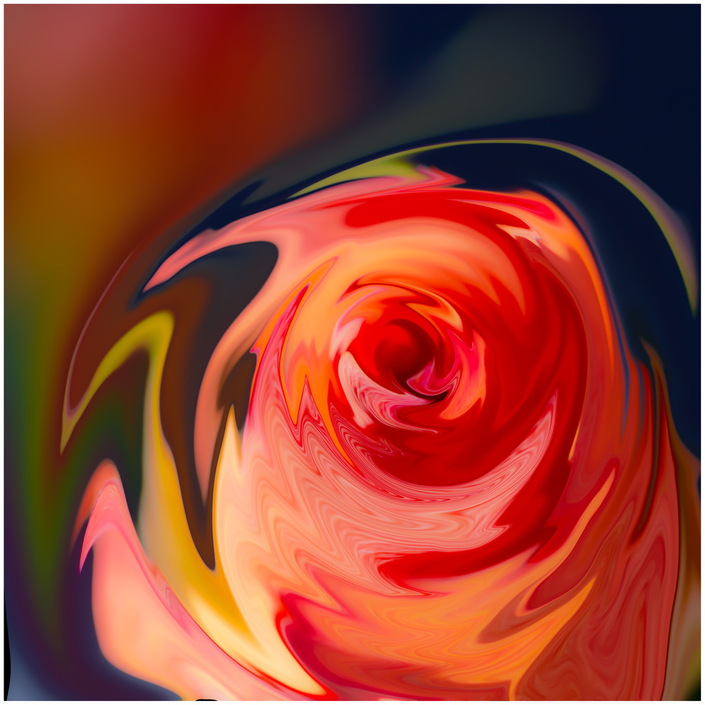 abstract rose by jernst1779