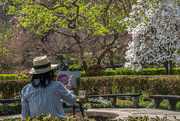 14th Apr 2018 - Hard at Work in Central Park