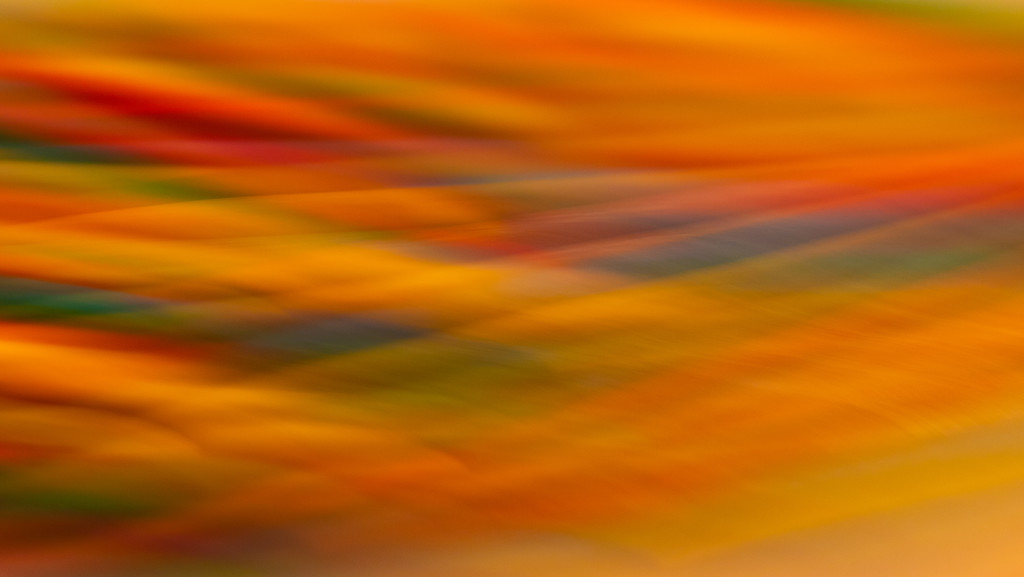 abstract blur by jernst1779