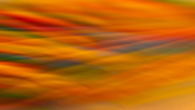 16th Apr 2018 - abstract blur