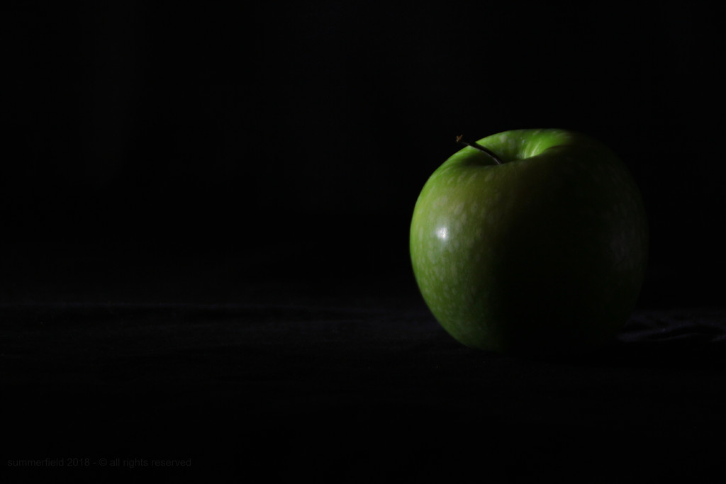 and the world is like an apple by summerfield