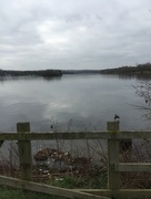 15th Apr 2018 - Rother Valley