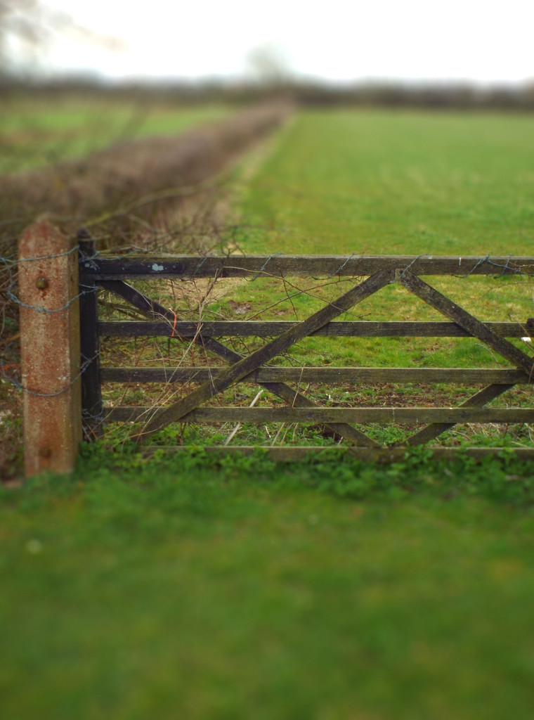 Gate by suzanne234
