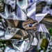 Abstract Pinwheel by yentlski