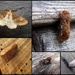 Garden moths 2 by steveandkerry