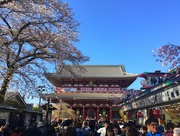 18th Apr 2018 - Ueno Park treasure.