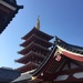 Japanese roofs. by cocobella