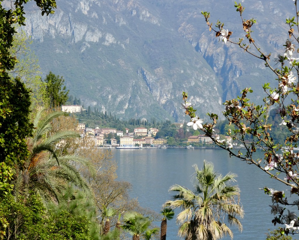 View of Lake Como from Villa Carlotta by orchid99