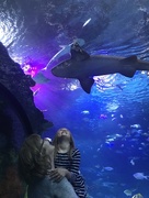 18th Apr 2018 - Shark tank with my granddaughter 