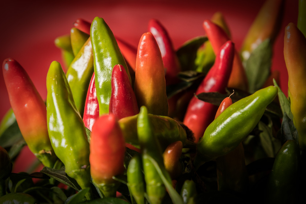 Chilli Peppers by billyboy