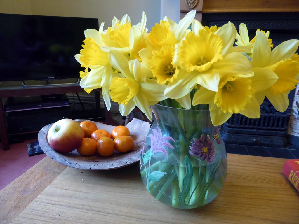 Daffodils by cmp