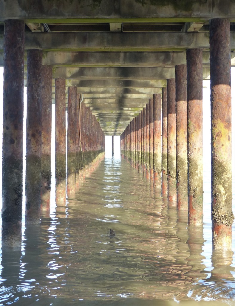 Underneath Southwold pier  by jokristina