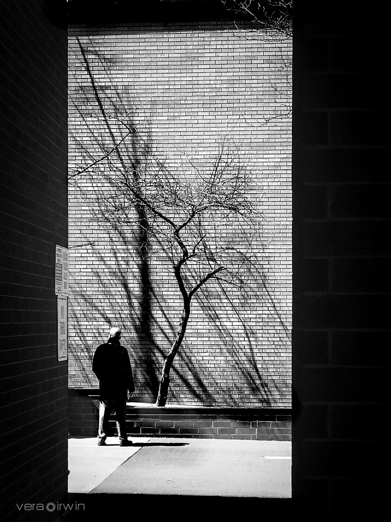 Shadows by vera365
