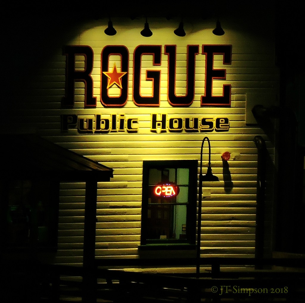 Going Rogue. by soylentgreenpics