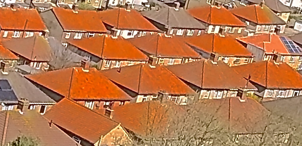 Orange Roofs by redandwhite