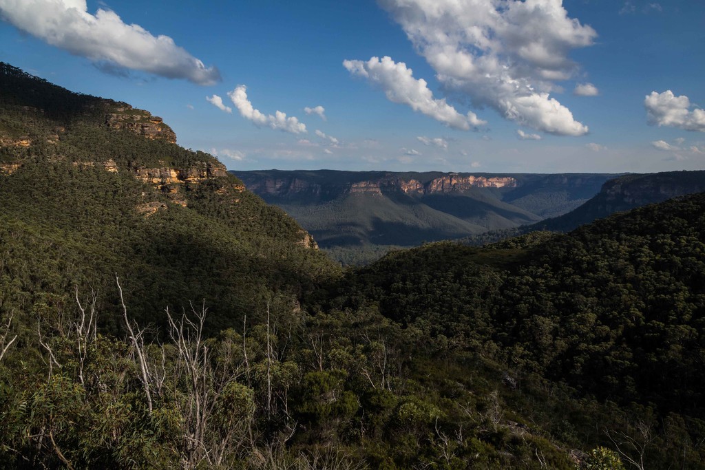 Blue mountains by pusspup