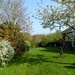 Our Garden In Spring by g3xbm