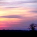 Lone tree sunset by filsie65