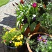 Lovely sunny day in the garden by cpw