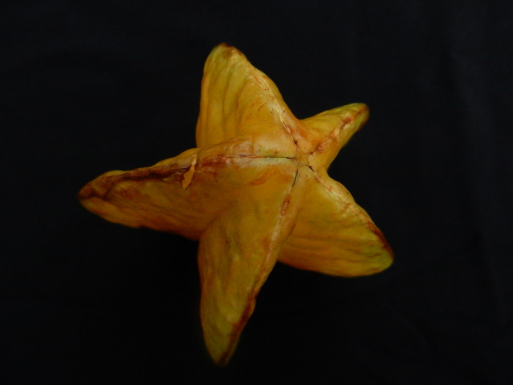 Star fruit by mcsiegle