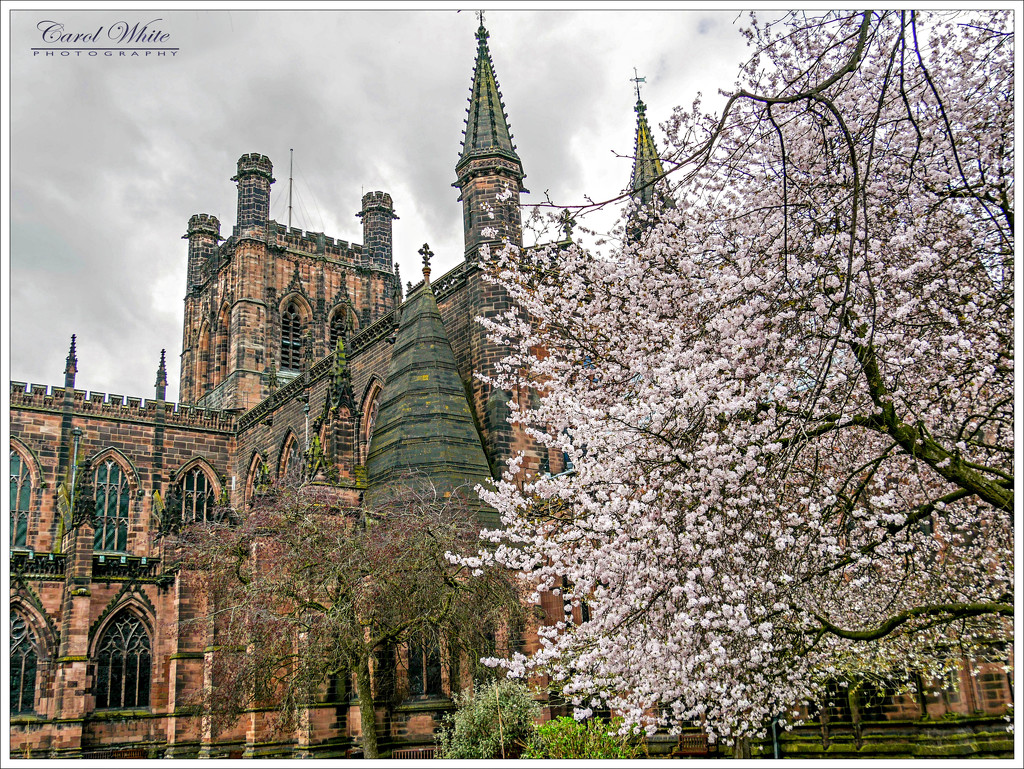 Chester Cathedral by carolmw