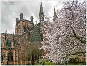 23rd Apr 2018 - Chester Cathedral