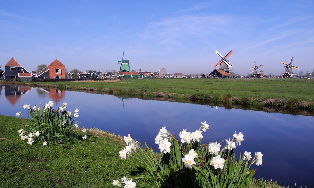 DSCN9857 Zaanse Schans in Holland by marijbar
